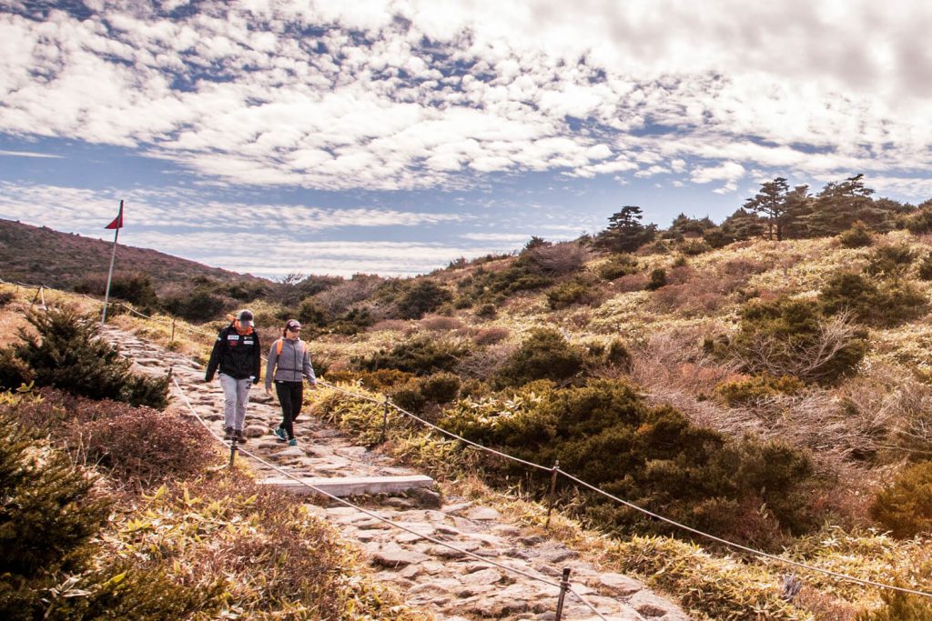 3 hiking trails you need to try in Jeju Island, South Korea 3 hiking trails you need to try in Jeju Island, South Korea