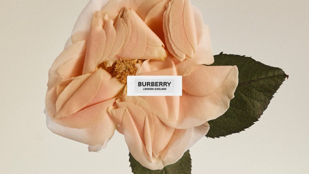 LIVE: Burberry Autumn/Winter 2020 LIVE: Burberry Autumn/Winter 2020