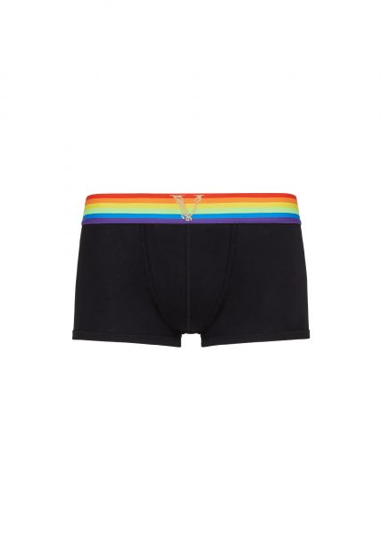 Pride Capsule briefs