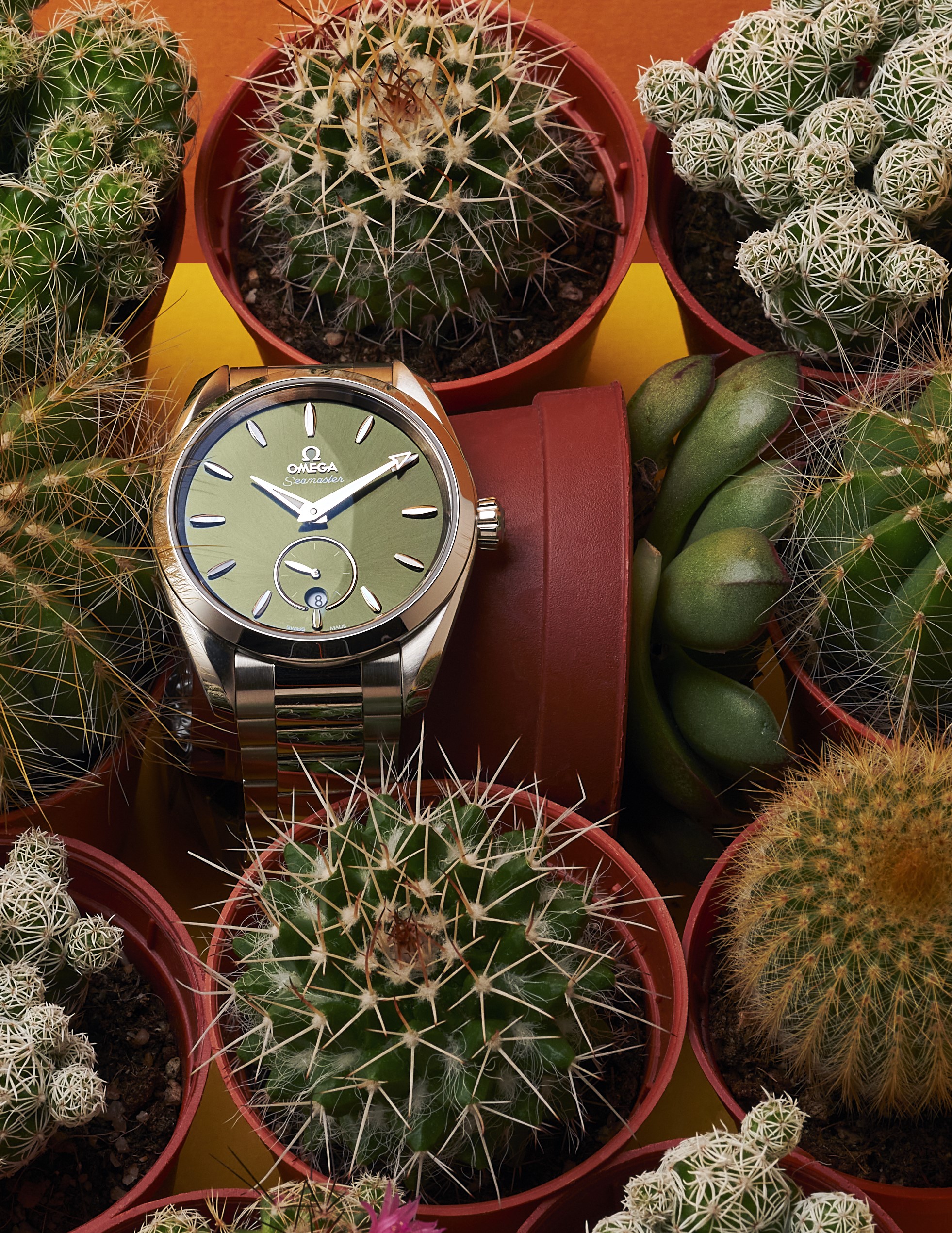 The Evergreen Appeal of Green Watches