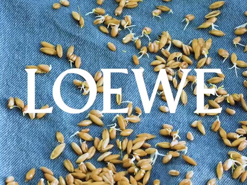LIVE: Loewe Spring/Summer 2023 menswear show LIVE: Loewe Spring/Summer 2023 menswear show